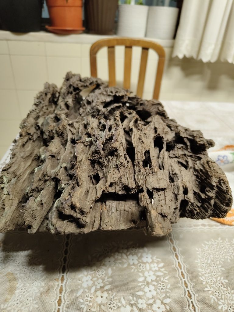 Dragon wood, 2.7 kg 40*30*10cm (CxLxEsp)