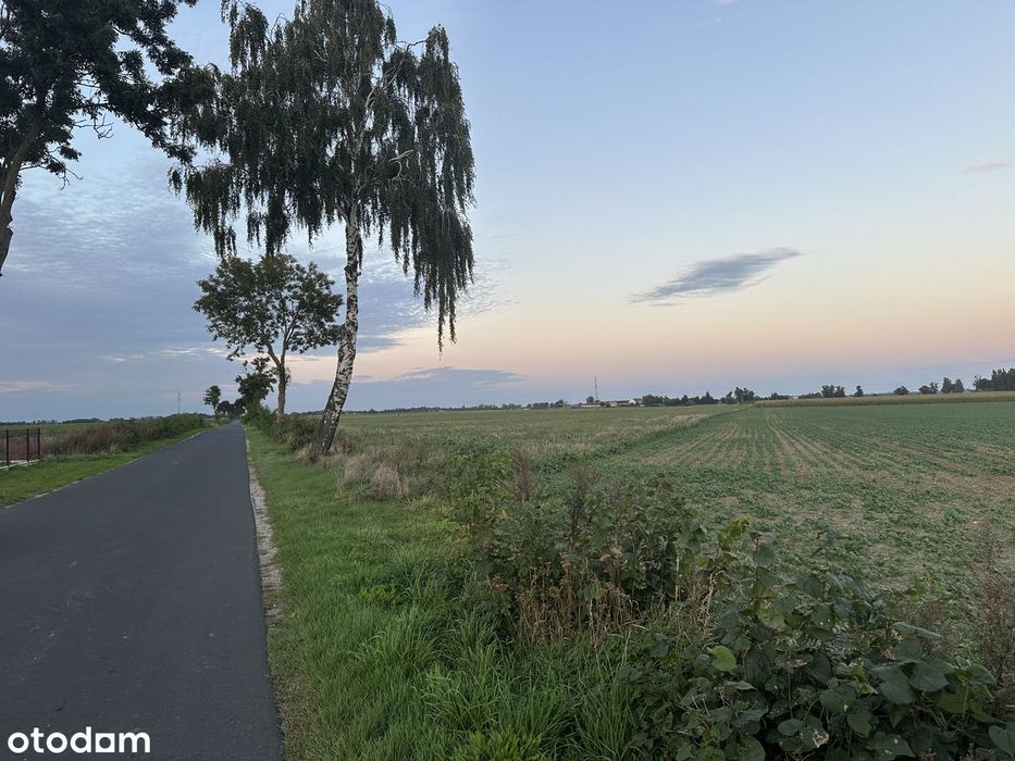 Okazja! Działka inwestycyjna 2,59 ha– Więzowno, MPZP- zab. jednorodz.