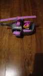 Skye Psi Patrol transformujacy