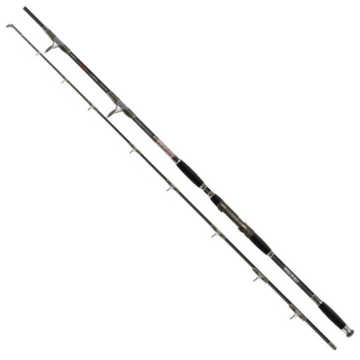 Wędka sumowa MISTRALL Lamberta Catfish Extreme Heavy 285cm