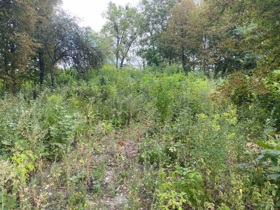 Продам участок 25 соток в селе Кодаки, Киевская обл. Собственник!