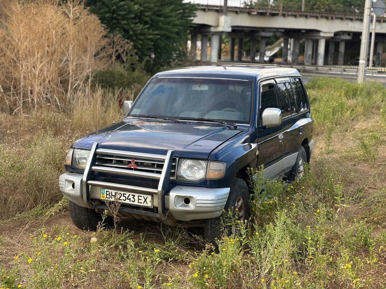 Mitsubishi Pajero Wagon 2