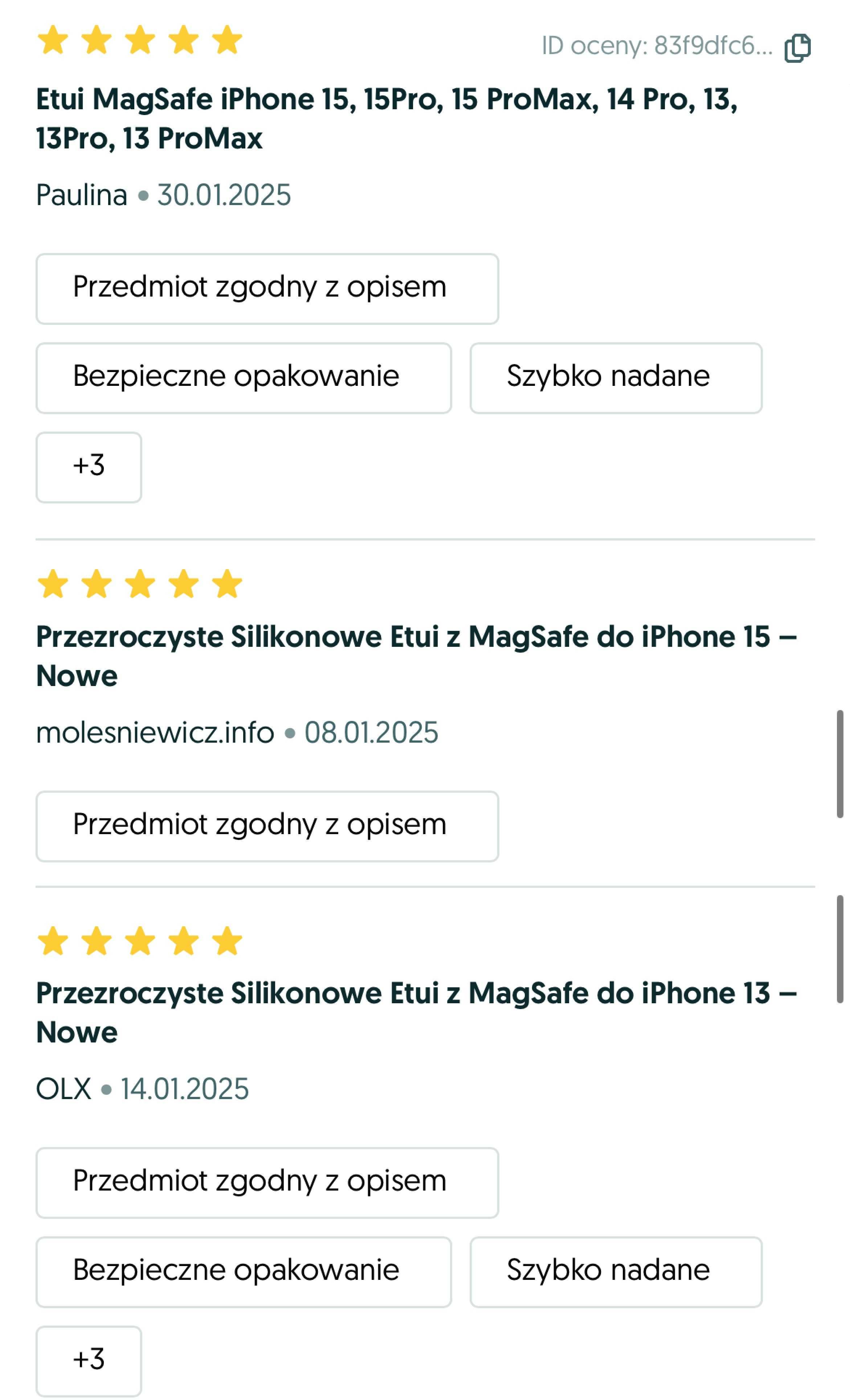 Przezroczyste Silikonowe Etui z MagSafe do iPhone 13 Pro – Nowe