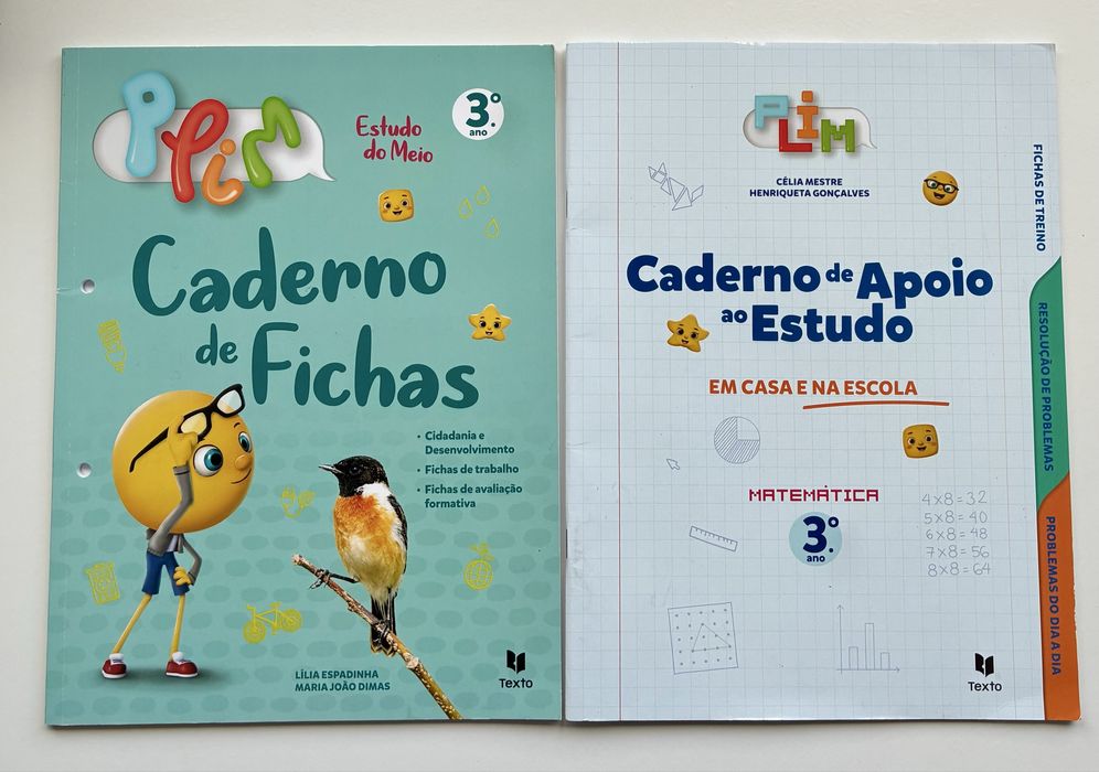 Caderno de fichas 3 ano (estudo do meio + matematica)