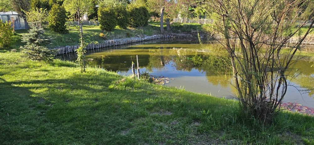 Działka rekreacyjna ROD ,,Wizun"