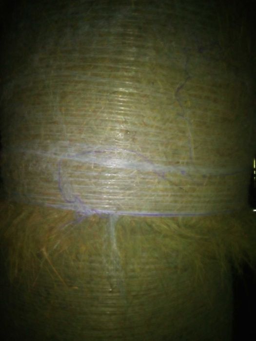 Sianokiszonka i siano