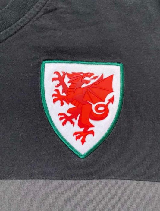 Koszulka piłkarska Adidas