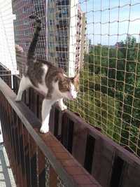 Siatka na balkon, siatka dla kota, przeciw gołębiom