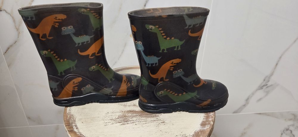 Kalosze chłopięce w dinozaury 29