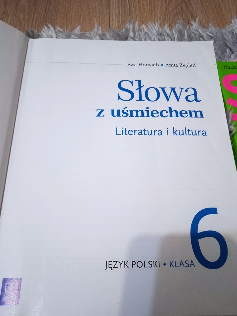 Język polski klasa6