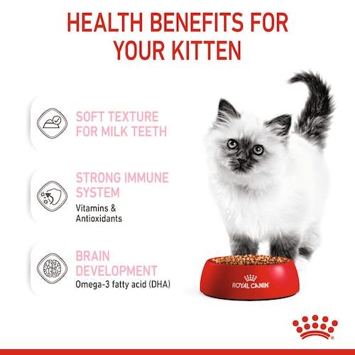 Karma w sosie dla kociąt do 12 miesiąca życia Royal Canin Saszetka 85g