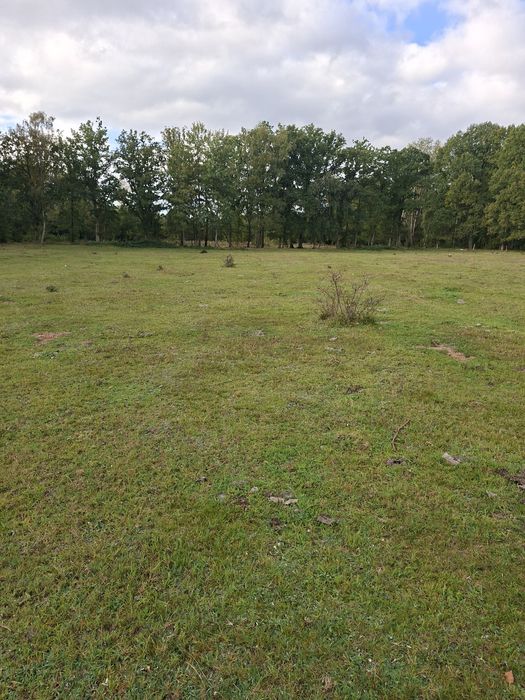 Sprzedam działkę bez pośredników