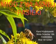 Miód spadziowy/mniszkowy / leśny/wielokwiatowy/gryczany/lipowy