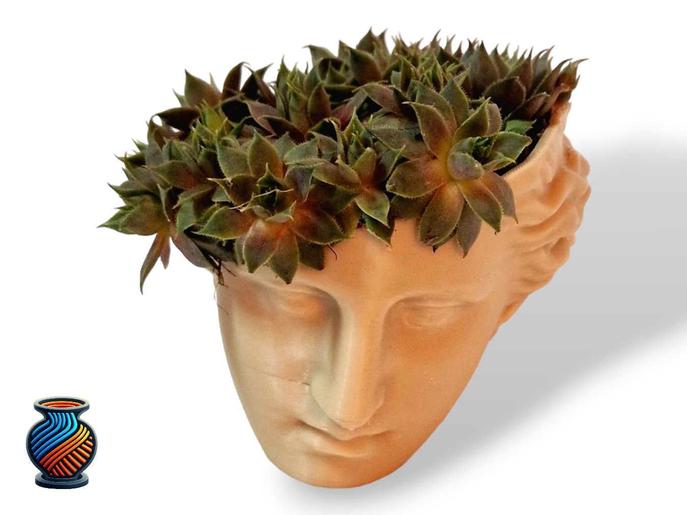 Vasos para plantas Impressos 3d