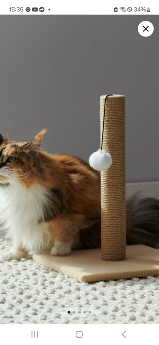 Кігтеточка для улюблених кошенят