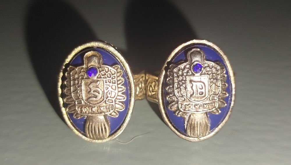 Aneís de Diários do Vampiro/ The Vampire Diaries  do Stefan e Damon