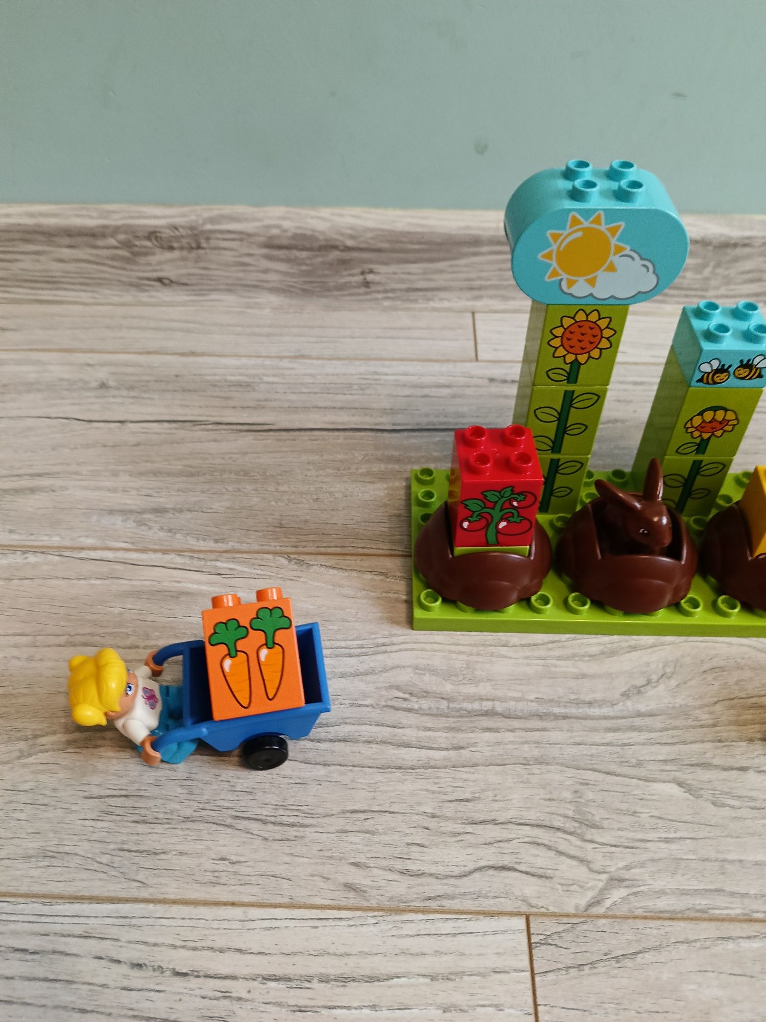 LEGO Duplo zestaw 10819 mój pierwszy ogród