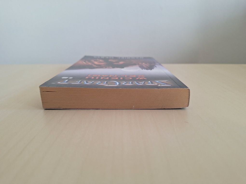 Gabriel Mesta Starcraft W cieniu Xel'nagi