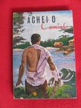 Achei o Caminho de Leonardo C. Lee