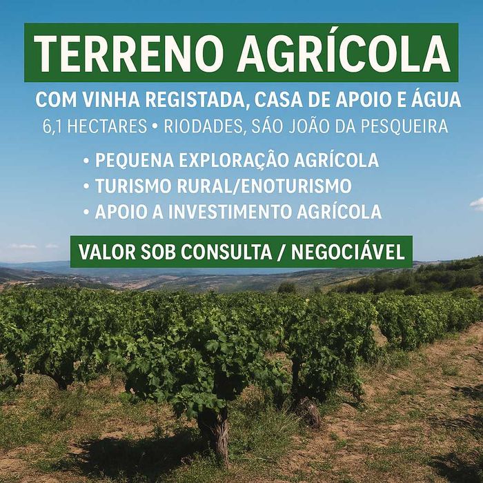 Terreno Agrícola com Vinha Registada, Casa de Apoio e Água
