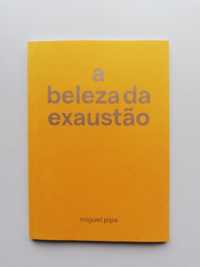 A Beleza da exaustão livro de poesia