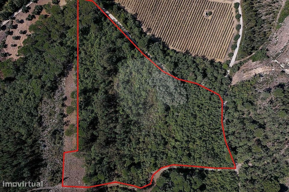 Terreno  para venda