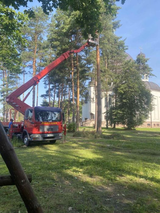 Зрізання дерев, послуги автовишки.