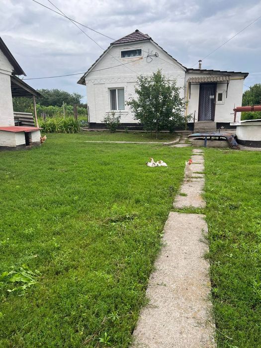 Продам будинок с.Дрозди(15 км від Білої Церкви)