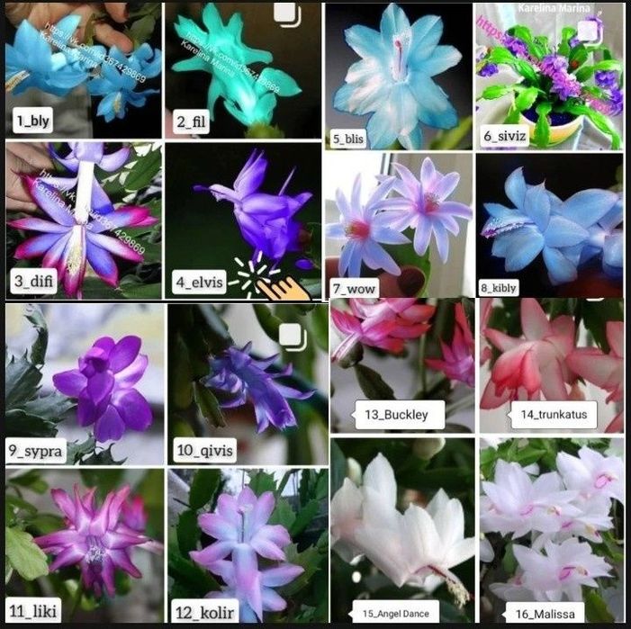 РОЖДЕСТВИНИК личная коллекция делюсь излишками