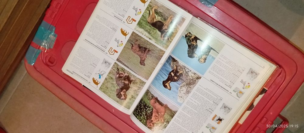 Livros antigos sobre animais