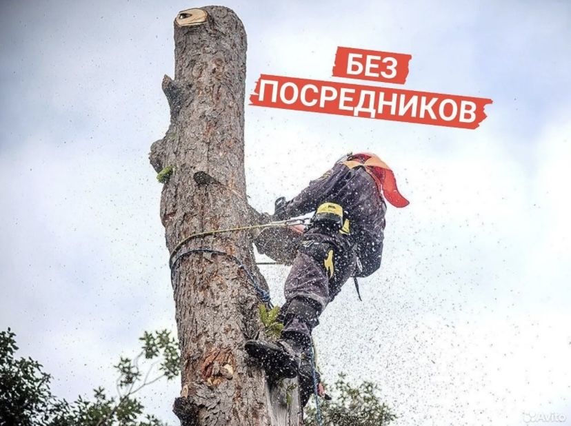 Спилить Дерево, Спиляти ДЕРЕВО, Зрізати ДеРево,Санітарна обрізка Дерев