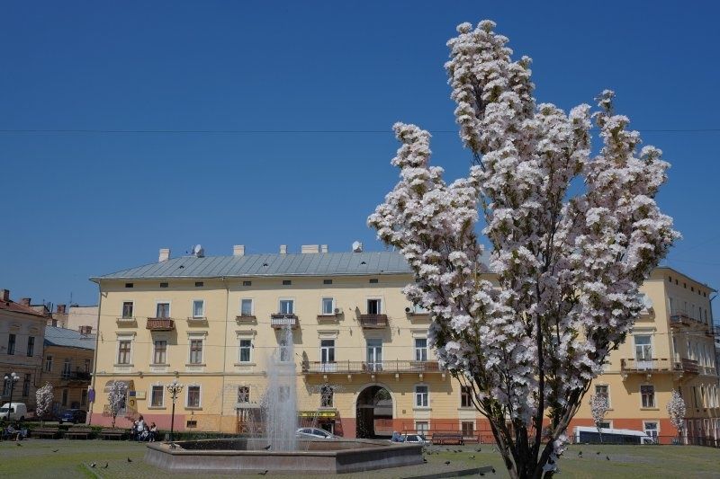 1к квартира на пл.Філармонії. Від власника
с видом на ф