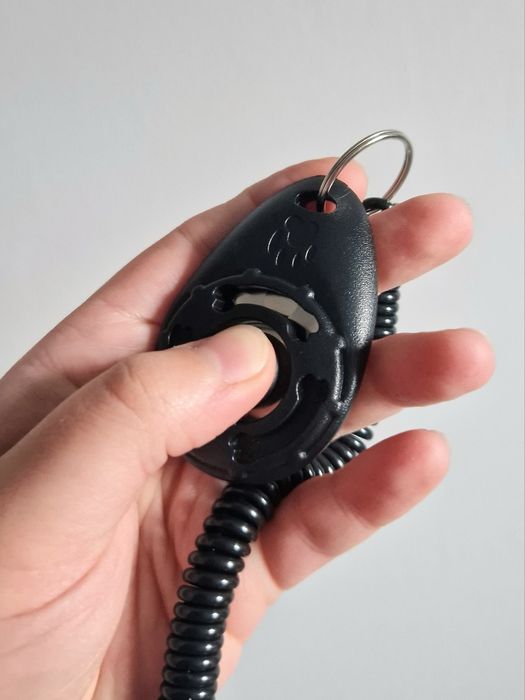 Kliker szkolenie tresura pies nauka szczeniak clicker szkoleniowy