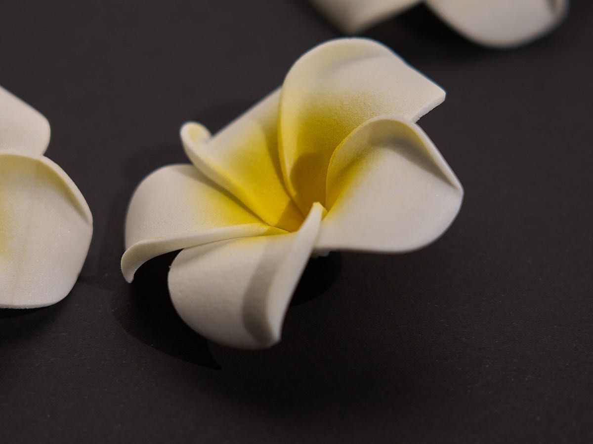 Flores Pluméria (Frangipani) em espuma para decoração