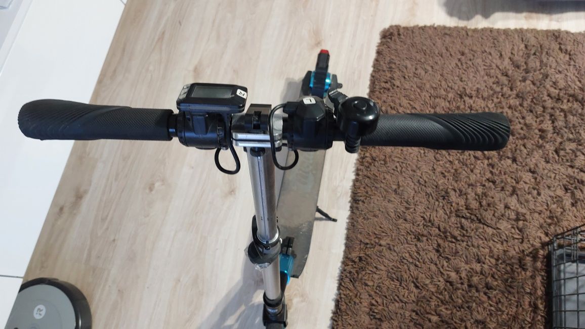 Hulajnoga Motus Scooty 6.5