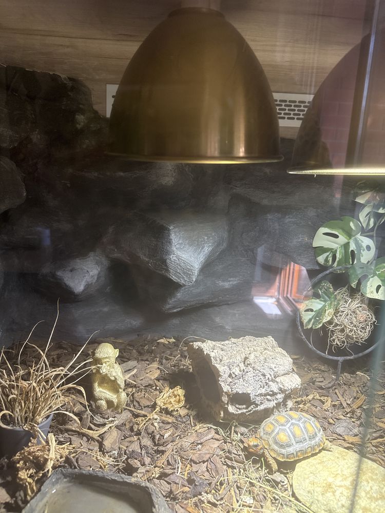 Terrarium podwójne wyjątkowe