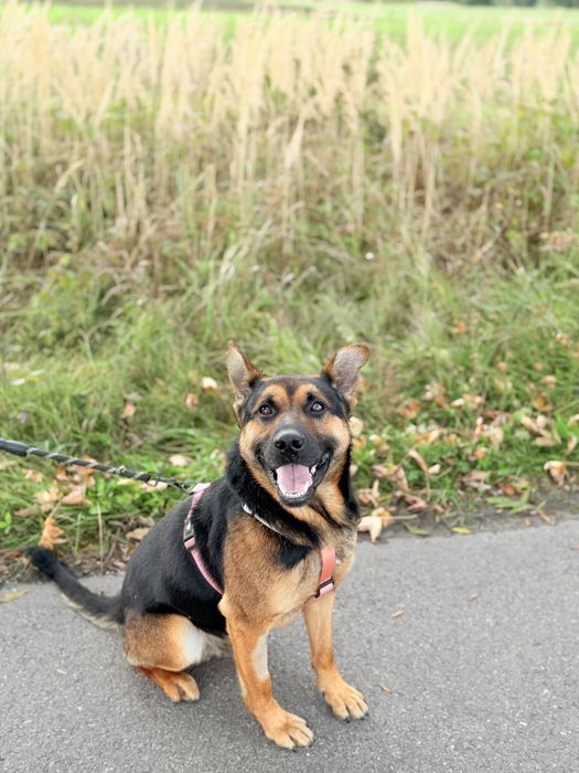 Cudowny Grześ święta chce spędzić w DOMU!