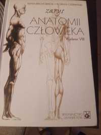 Anatomia człowieka