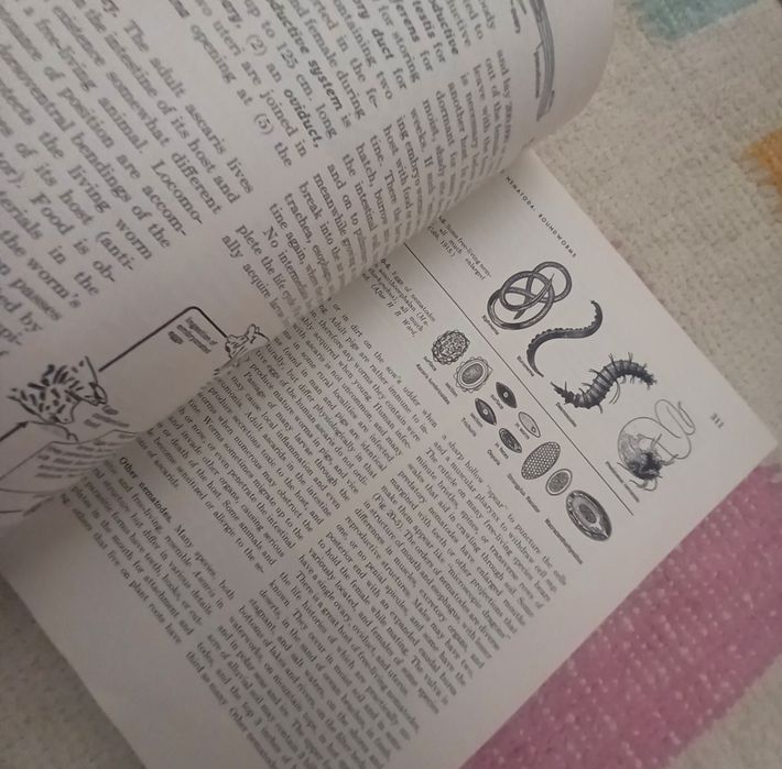 General Zoology Storer e Usinger