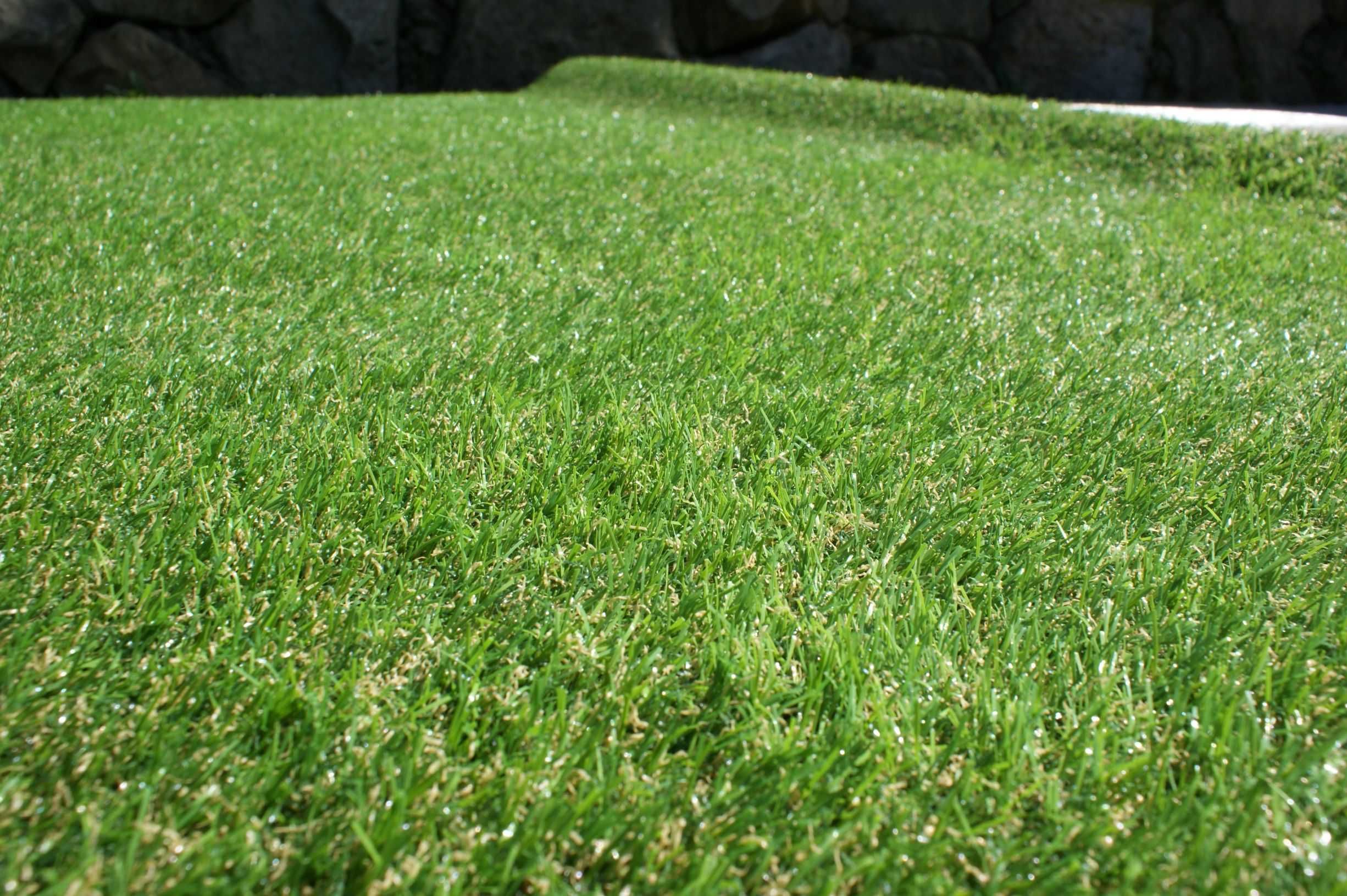 sztuczna trawa szer 133cm wysokość włosa 2,2cm  Jenifer