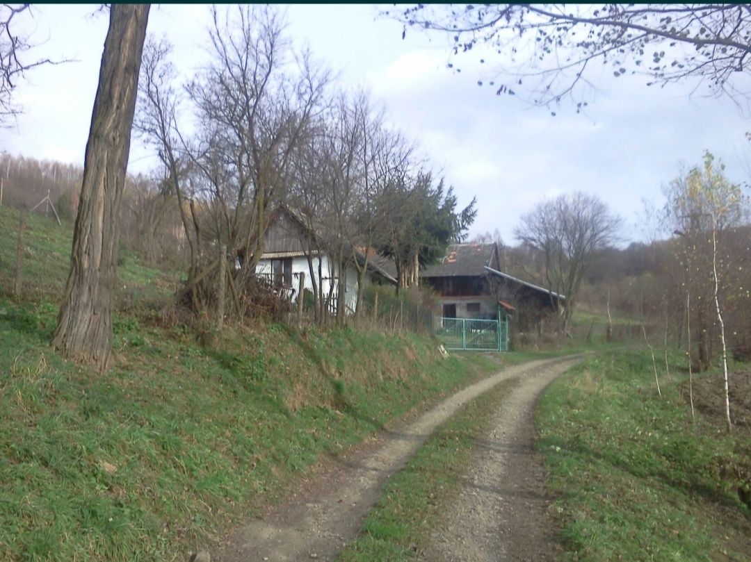 Dom z działką w Bachórcu