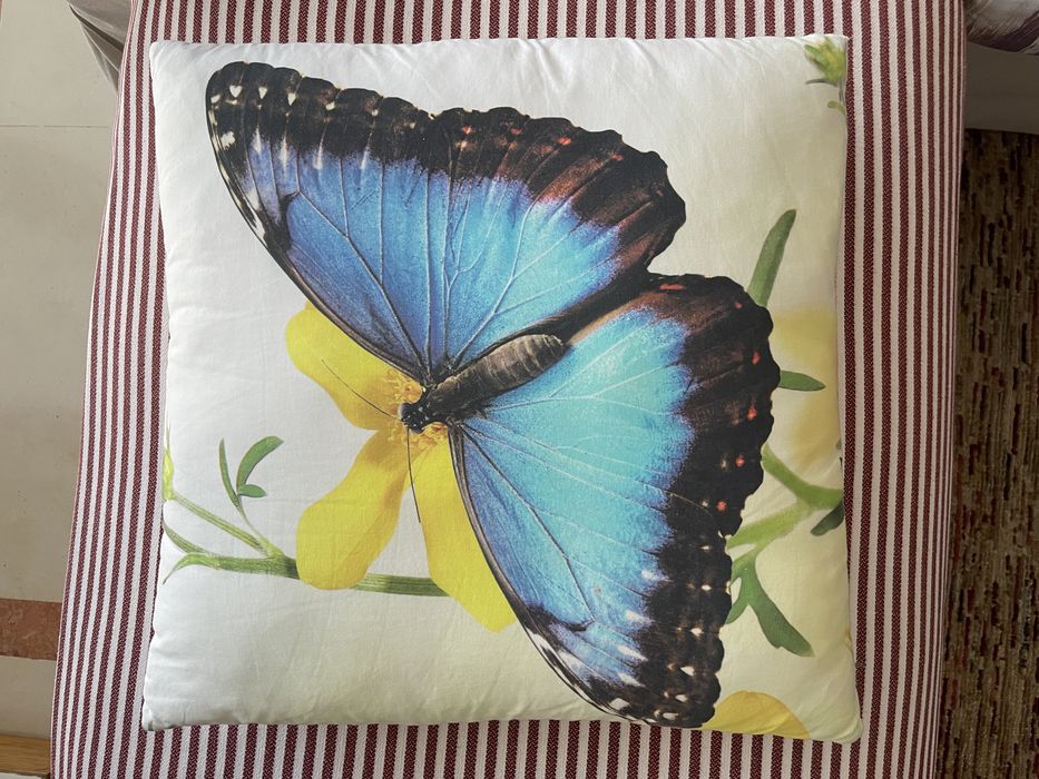 Almofadas decorativas