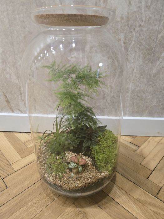 Śliczny Las w szkle