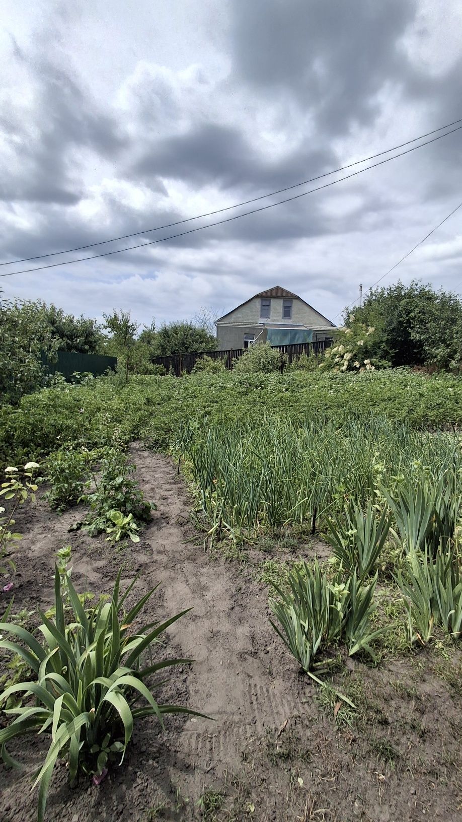 Продам будинок 5хв., до центру міста