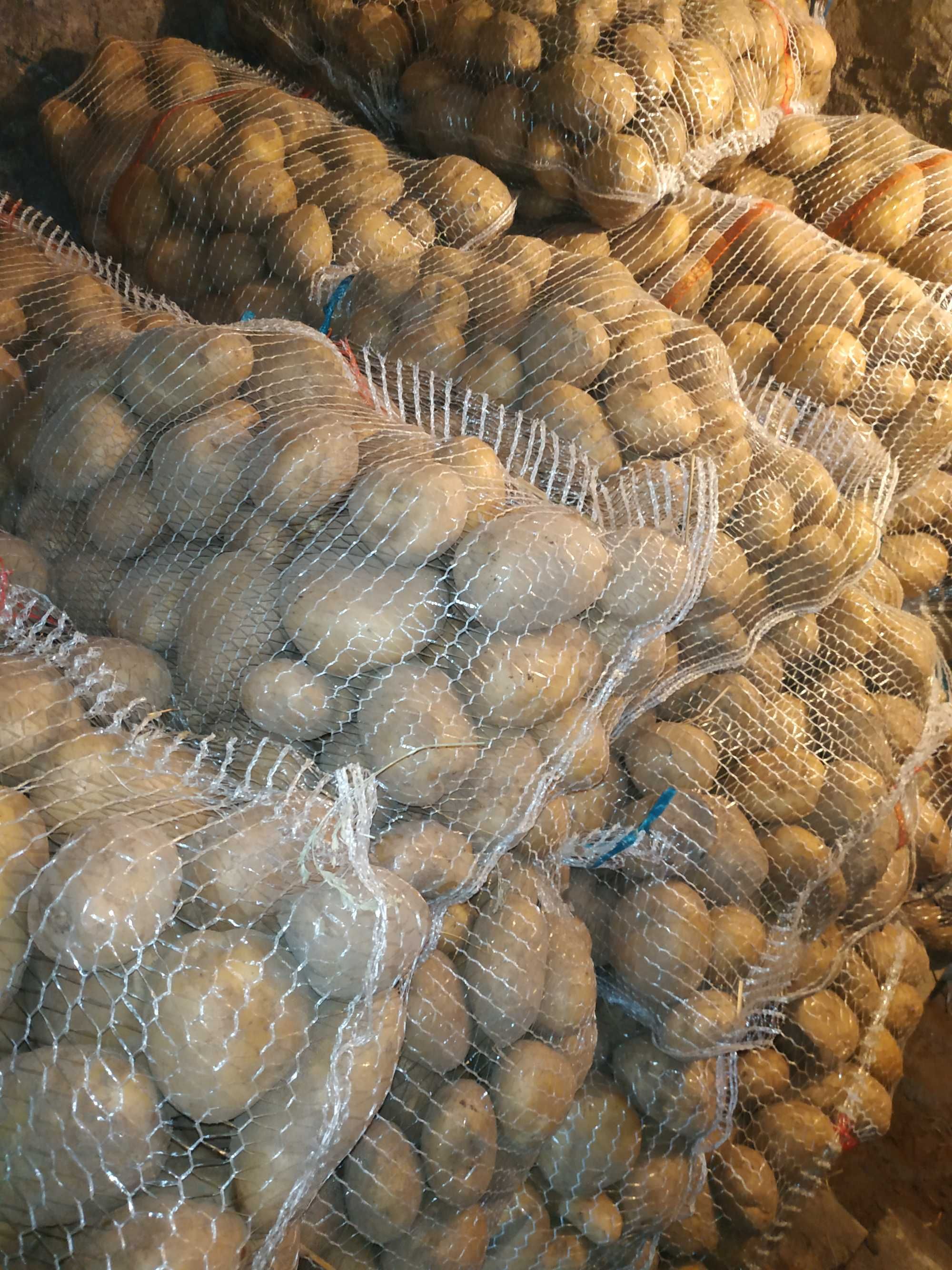 Ziemniaki Odmiany Ignacy: Wysoka Jakość