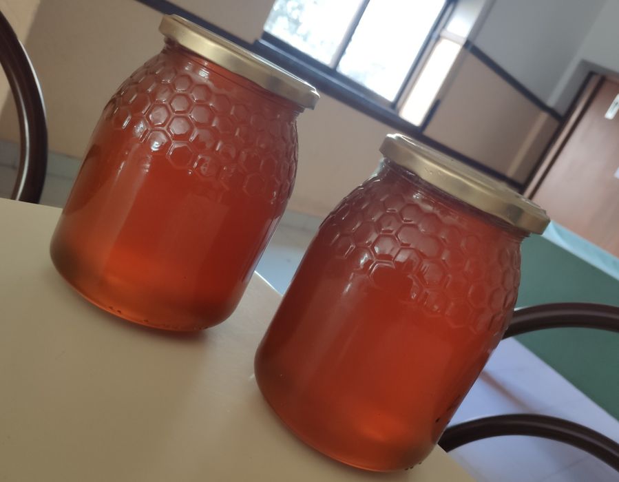 Mel de boa qualidade Multiflor