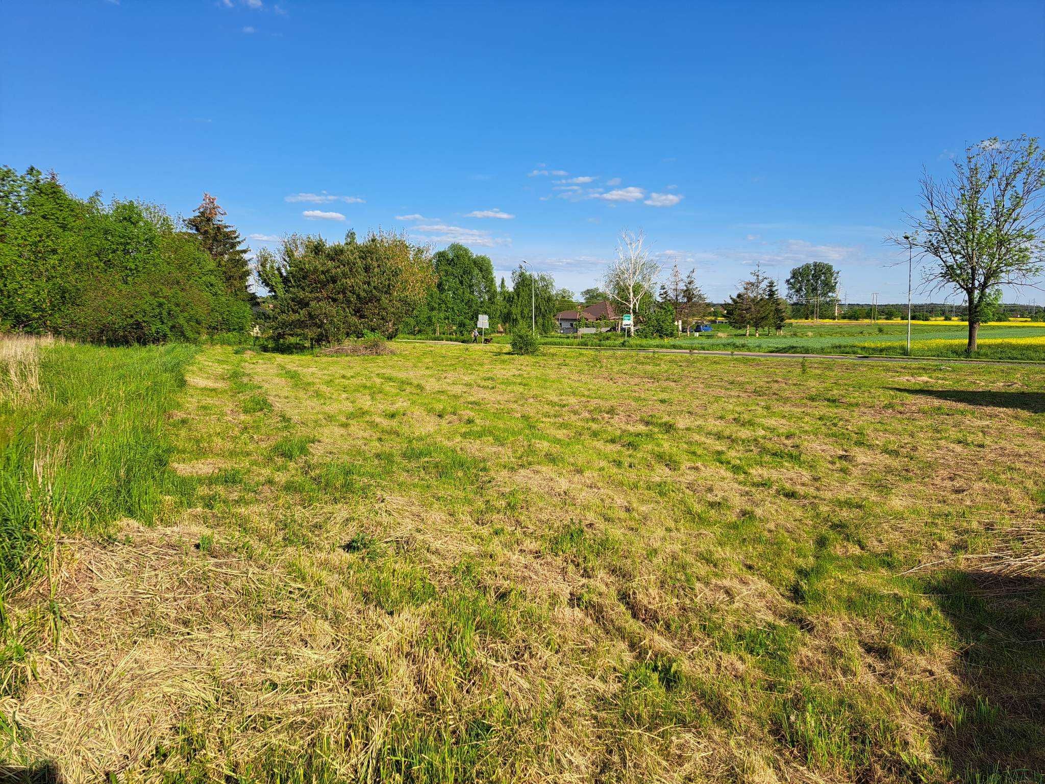 działka budowlana Dębno Chojeńska