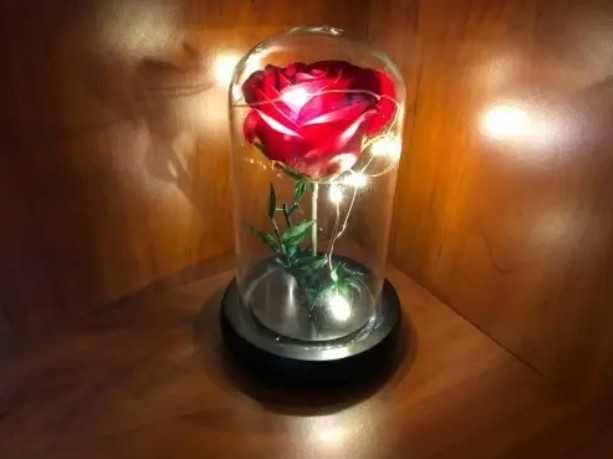 Вічна троянда в колбі / подарунок