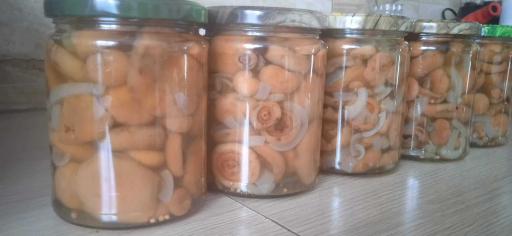 Rydze w zalewie octowej 540ml 1szt.24zl 7 sztuk 168zl-zbior 2025R