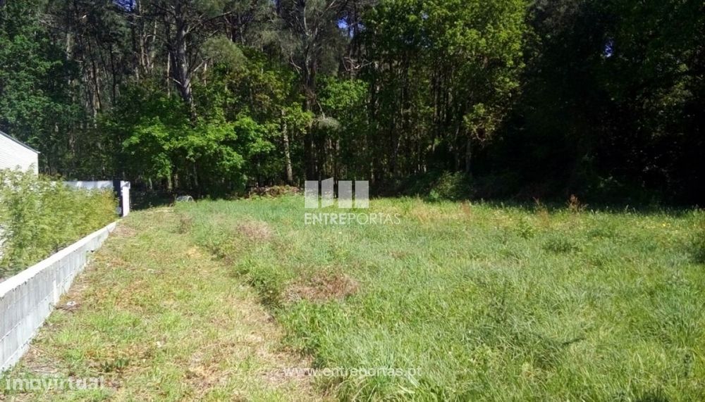 Venda de 3 Terrenos, Afife, Viana do Castelo